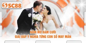 Nằm Mơ Đám Cưới - Giải Đáp Ý Nghĩa Từng Con Số May Mắn